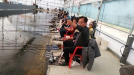 신당낚시터 유료낚시터 > 신당하우스장어 조항 : 낚시사랑