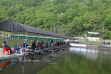 용인지곡낚시공원 유료낚시터 > ◐ 붕어 대란 속에서도 ◐ : 낚시사랑