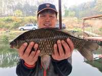 양오지 유료낚시터 > 45cm,44cm, 4짜축제입니다 ~^^ 인천 강화 토종대물터 양오지 주말 조황입니다. : 낚시사랑