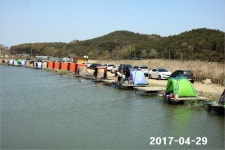 내동지 유료낚시터 > 오늘은 내가 4짜 왕 : 낚시사랑