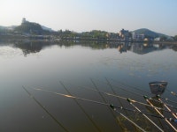 칠곡낚시터 유료낚시터 > 5월 4일 조황 : 낚시사랑