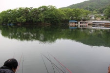 동교낚시터 유료낚시터 > 포천 동교낚시터 밤낚시에 천국....허프로 조황기 : 낚시사랑