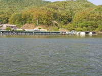 상곡낚시터 유료낚시터 > 토종붕어 전문 낚시터 .... 조황과함께......... : 낚시사랑