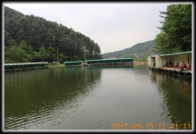 양평대명낚시터 유료낚시터 > ♣♣♣♣♣ 5주연속 메기500kg를!!! 만수대명~!!힐링대명~!!♣♣♣♣♣ : 낚시사랑