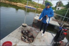 독정낚시터 유료낚시터 > 주말 조황이 좋은 독정낚시터 : 낚시사랑