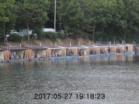 신선지 유료낚시터 > 강화 신선낚시터 5/28일 조황정보 : 낚시사랑