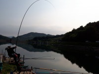 선고지 유료낚시터 > 충북 제천[선고지]낚시터 조황정보 : 낚시사랑