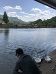 강촌낚시터 유료낚시터 > 토종붕어 강촌낚시터입니다! : 낚시사랑