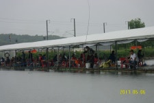 웃골낚시터 유료낚시터 > 지난비가 밤새와 줘 평균3미터수심 만수을 !,,입질활성도는 전구역에서 고른 입질을 보이고 있네요! : 낚시사랑