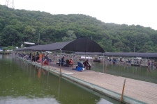 용인지곡낚시공원 유료낚시터 > ◐ 딱~걸렸으... ◐ : 낚시사랑