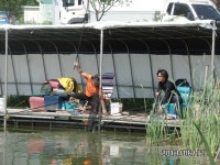 당골낚시터 유료낚시터 > ~~~조황정보~~~ : 낚시사랑