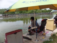 당골낚시터 유료낚시터 > ~~~조황정보~~~ : 낚시사랑