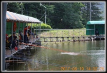 양평대명낚시터 유료낚시터 > ♣♣♣♣♣ 메기잔치는 계속됩니다~^^* ♣♣♣♣♣ : 낚시사랑