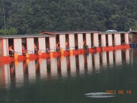 대석낚시터 유료낚시터 > 감사한 마음으로 또 1톤 폭탄 방류 합니다.. : 낚시사랑