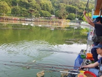 금광호수낚시터 유료낚시터 > 금광호수낚시터 함께라면 더 즐겁습니다~^^ : 낚시사랑