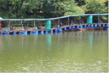 상덕낚시터 유료낚시터 > 6월3주차 이야기 - 용인 상덕 : 낚시사랑