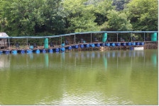 상덕낚시터 유료낚시터 > 6월3주차 이야기 - 용인 상덕 : 낚시사랑