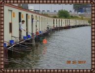 관리낚시터 유료낚시터 > 도심속의 작은 쉼터! 화성 관리 낚시터입니다..[만석 감사합니다~~^^] : 낚시사랑