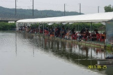 웃골낚시터 유료낚시터 > 즐기자!~ 손맛낚시터 봉담웃골!~치어도 제거되고 입질도 최고로 활발 합니다!홧팅!~^^ : 낚시사랑