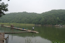 용인지곡낚시공원 유료낚시터 > ◐ 앗.섬이 잠기고 있다.? ◐ : 낚시사랑