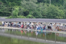 용인지곡낚시공원 유료낚시터 > ◐ 조사님들께 협조 공지 ◐ : 낚시사랑