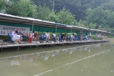 용인지곡낚시공원 유료낚시터 > ◐ 원.투.쓰리. 퀴즈도. ◐ : 낚시사랑