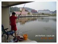 관리낚시터 유료낚시터 > 도심속의 작은 쉼터!! 화성 관리 낚시터입니다.[3주 연속 만석에 감사드립니다.] : 낚시사랑