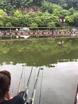 강촌낚시터 유료낚시터 > 토종붕어 강촌낚시터 입니다!! : 낚시사랑