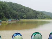 신기 낚시터 유료낚시터 > 2017년 7월 11일 주중 및 방류정보 : 낚시사랑