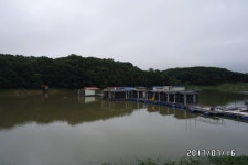 상지낚시터 유료낚시터 > 상지낚시랜드조황정보입니다 : 낚시사랑