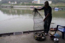 장광낚시터 유료낚시터 > 안성[장광] 대박이 보인다 : 낚시사랑