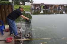 장광낚시터 유료낚시터 > 안성[장광] 잘 나오고 있습니다 : 낚시사랑