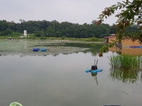 중부낚시터 유료낚시터 > 중부낚시터(성미지) 7월 28일 조황정보 : 낚시사랑