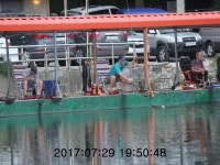 신선지 유료낚시터 > 강화 신선낚시터 7/29일 주말 조황정보 : 낚시사랑