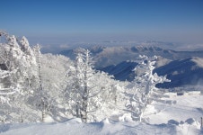 용인지곡낚시공원 유료낚시터 > ◐ 4짜와 5짜 차이 ◐ : 낚시사랑