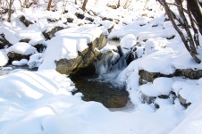 용인지곡낚시공원 유료낚시터 > ◐ 4짜와 5짜 차이 ◐ : 낚시사랑