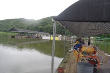 용인지곡낚시공원 유료낚시터 > ◐ 4짜와 5짜 차이 ◐ : 낚시사랑