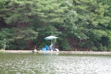 용인지곡낚시공원 유료낚시터 > ◐ 4짜와 5짜 차이 ◐ : 낚시사랑