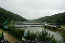 용인지곡낚시공원 유료낚시터 > ◐ 장대비가 내린후 지곡지 모습 ◐ : 낚시사랑