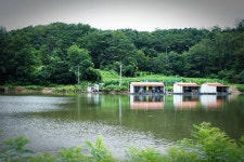 반제지 유료낚시터 > 반제지8월16일아침 붕어초대박조황 : 낚시사랑