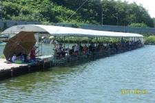 웃골낚시터 유료낚시터 > 대~한~민국!~ 손맛낚시터 웃골입니다!~^^2년동안 바빠서 못한 낚시~ 붕어! 한번에 다 잡았어요!~ : 낚시사랑