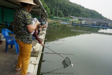 용인지곡낚시공원 유료낚시터 > ◐ 48.5 대물과 인생 ◐ : 낚시사랑