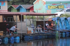 동교낚시터 유료낚시터 > **[핫정보]9월9일 허프로 특종!조황정보** : 낚시사랑