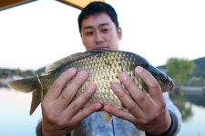 영종낚시터(구만정낚시터) 유료낚시터 > 9/15(금) 붕어의 꿈을 키우는 곳 : 낚시사랑