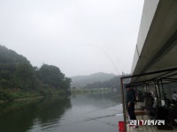 아산신수 유료낚시터 > 아산 신수지 9월 네째주말 화보입니다. : 낚시사랑