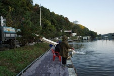 용인지곡낚시공원 유료낚시터 > ◐ 사과의 말씀을... ◐ : 낚시사랑