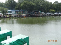 오빈낚시터 유료낚시터 > ***오빈낚시터*** 주중조황 정보및 방류소식 전합니다*** : 낚시사랑