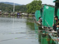 오빈낚시터 유료낚시터 > ***오빈낚시터*** 주중조황 정보및 방류소식 전합니다*** : 낚시사랑