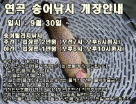 연곡붕어 유료낚시터 > 경기도 연곡지 #송어#붕어# 조황소식전합니다. : 낚시사랑
