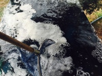 청곡낚시터 유료낚시터 > 대방류소식 : 낚시사랑